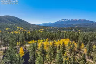303 Ute Trail, Woodland Park, CO 80863 - Photo 9