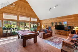 303 Ute Trail, Woodland Park, CO 80863 - Photo 21