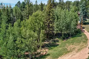 158 Rattler Ct, Cripple Creek, CO 80813 - Photo 1