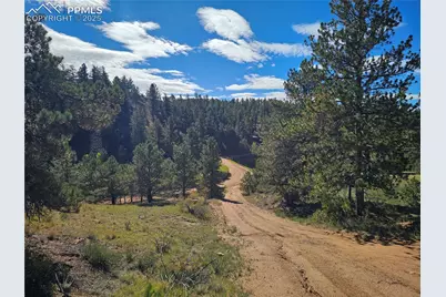163 Valley View Drive, Florissant, CO 80816 - Photo 19