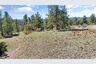 163 Valley View Drive, Florissant, CO 80816 - Photo 13