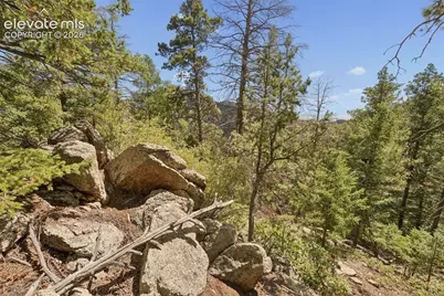 5110 Little Turkey Creek Road, Colorado Springs, CO 80926 - Photo 47