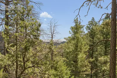 5110 Little Turkey Creek Road, Colorado Springs, CO 80926 - Photo 39
