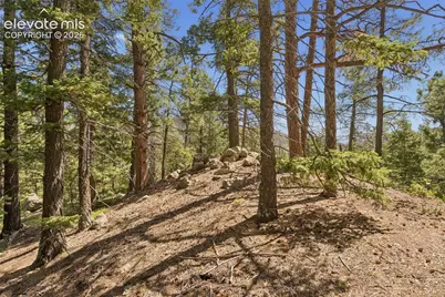 5110 Little Turkey Creek Road, Colorado Springs, CO 80926 - Photo 31