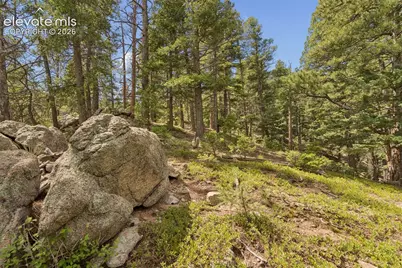 5110 Little Turkey Creek Road, Colorado Springs, CO 80926 - Photo 33