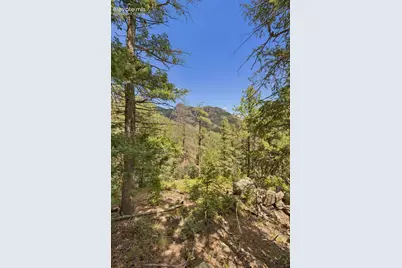 5110 Little Turkey Creek Road, Colorado Springs, CO 80926 - Photo 29