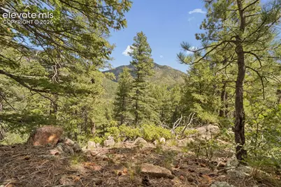 5110 Little Turkey Creek Road, Colorado Springs, CO 80926 - Photo 35