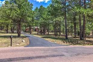 19095 White Fawn Dr, Monument, CO 80132 - Photo 41