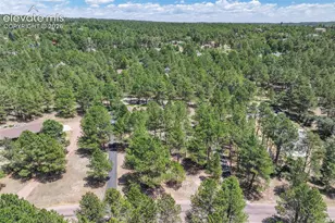 19095 White Fawn Dr, Monument, CO 80132 - Photo 43