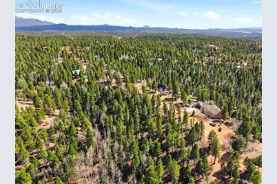 278 Cherry Lake Drive, Divide, CO 80814 - Photo 5