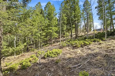 278 Cherry Lake Drive, Divide, CO 80814 - Photo 21