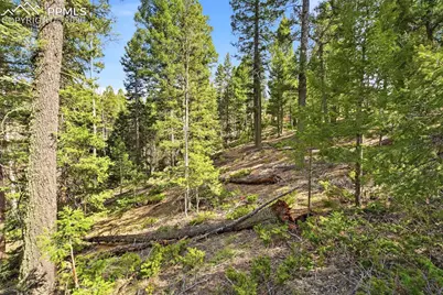 278 Cherry Lake Drive, Divide, CO 80814 - Photo 15
