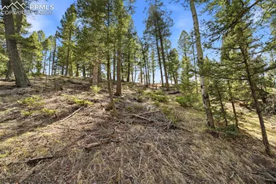 278 Cherry Lake Drive, Divide, CO 80814 - Photo 17