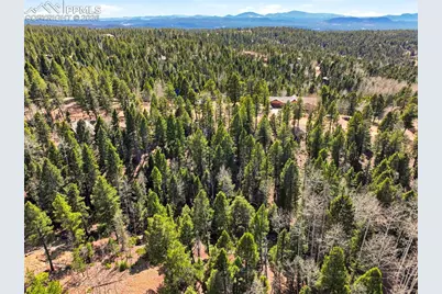 278 Cherry Lake Drive, Divide, CO 80814 - Photo 9