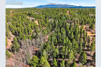 278 Cherry Lake Drive, Divide, CO 80814 - Photo 23