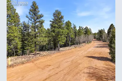 278 Cherry Lake Drive, Divide, CO 80814 - Photo 13
