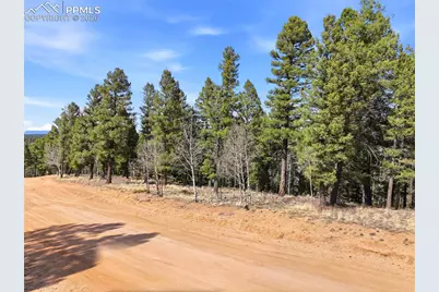 278 Cherry Lake Drive, Divide, CO 80814 - Photo 11
