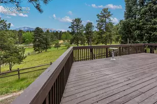 42 Bluebird Hill Na, Woodland Park, CO 80863 - Photo 33