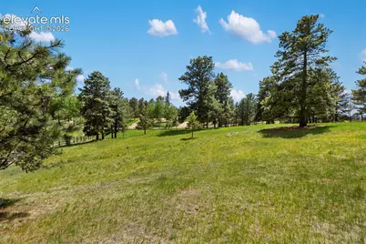 42 Bluebird Hill Na, Woodland Park, CO 80863 - Photo 9