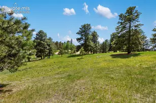 42 Bluebird Hill Na, Woodland Park, CO 80863 - Photo 9
