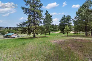 42 Bluebird Hill Na, Woodland Park, CO 80863 - Photo 7
