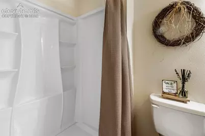 1010 W Bowman Avenue, Woodland Park, CO 80863 - Photo 39
