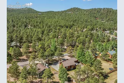 1010 W Bowman Avenue, Woodland Park, CO 80863 - Photo 3