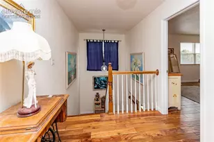 5372 Luster Dr, Colorado Springs, CO 80923 - Photo 23