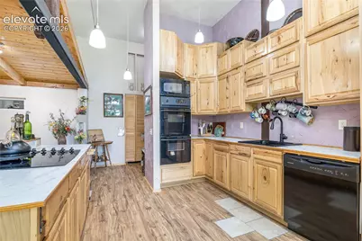 2493 County Road 782, Woodland Park, CO 80863 - Photo 9