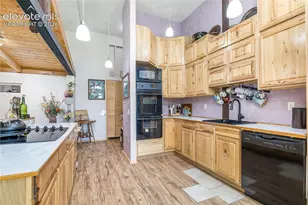 2493 Co Rd 782, Woodland Park, CO 80863 - Photo 9