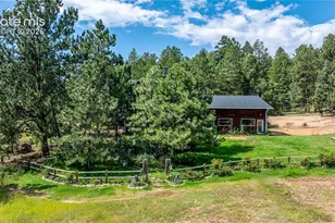 2493 Co Rd 782, Woodland Park, CO 80863 - Photo 39