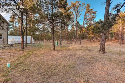9920 Hodgen Road, Colorado Springs, CO 80908 - Photo 43