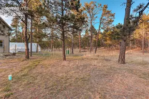 9920 Hodgen Rd, Colorado Springs, CO 80908 - Photo 43