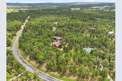 17675 Charter Pines Drive, Monument, CO 80132 - Photo 47