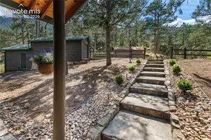 9120 Ute Rd, Cascade, CO 80809 - Photo 11