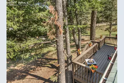 9120 Ute Road, Cascade, CO 80809 - Photo 39
