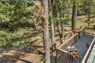 9120 Ute Rd, Cascade, CO 80809 - Photo 39