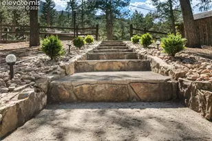 9120 Ute Rd, Cascade, CO 80809 - Photo 3