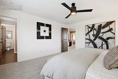 3305 Day Dream View, Colorado Springs, CO 80922 - Photo 33