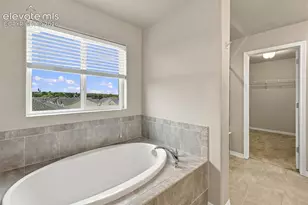 7059 Thorn Brush Way, Colorado Springs, CO 80923 - Photo 13