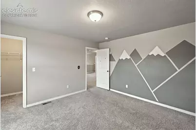 7059 Thorn Brush Way, Colorado Springs, CO 80923 - Photo 19