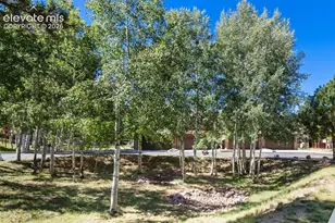718 Misty Pines Cir, Woodland Park, CO 80863 - Photo 49