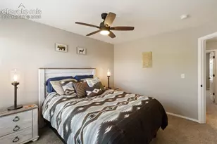 718 Misty Pines Cir, Woodland Park, CO 80863 - Photo 19