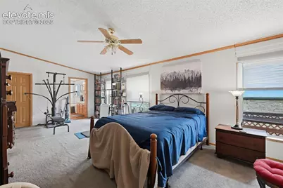 1005 Engleby Drive, Colorado Springs, CO 80930 - Photo 19