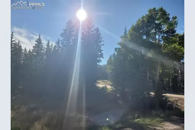 309 Pinaceae Heights, Divide, CO 80814 - Photo 7