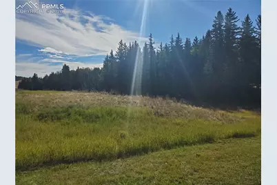 309 Pinaceae Heights, Divide, CO 80814 - Photo 5