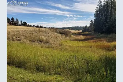 309 Pinaceae Heights, Divide, CO 80814 - Photo 11