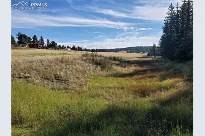 309 Pinaceae Heights, Divide, CO 80814 - Photo 9
