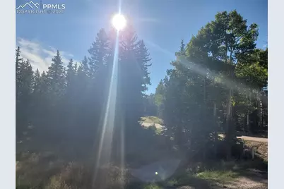 309 Pinaceae Heights, Divide, CO 80814 - Photo 7