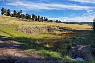 309 Pinaceae Heights, Divide, CO 80814 - Photo 1